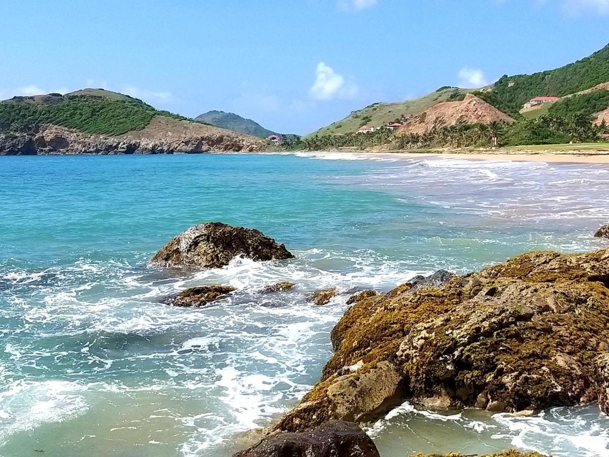 Studio 1 - Grande Anse - 4 Pers - Proche Bourg Terre-De-Haut Eksteriør bilde