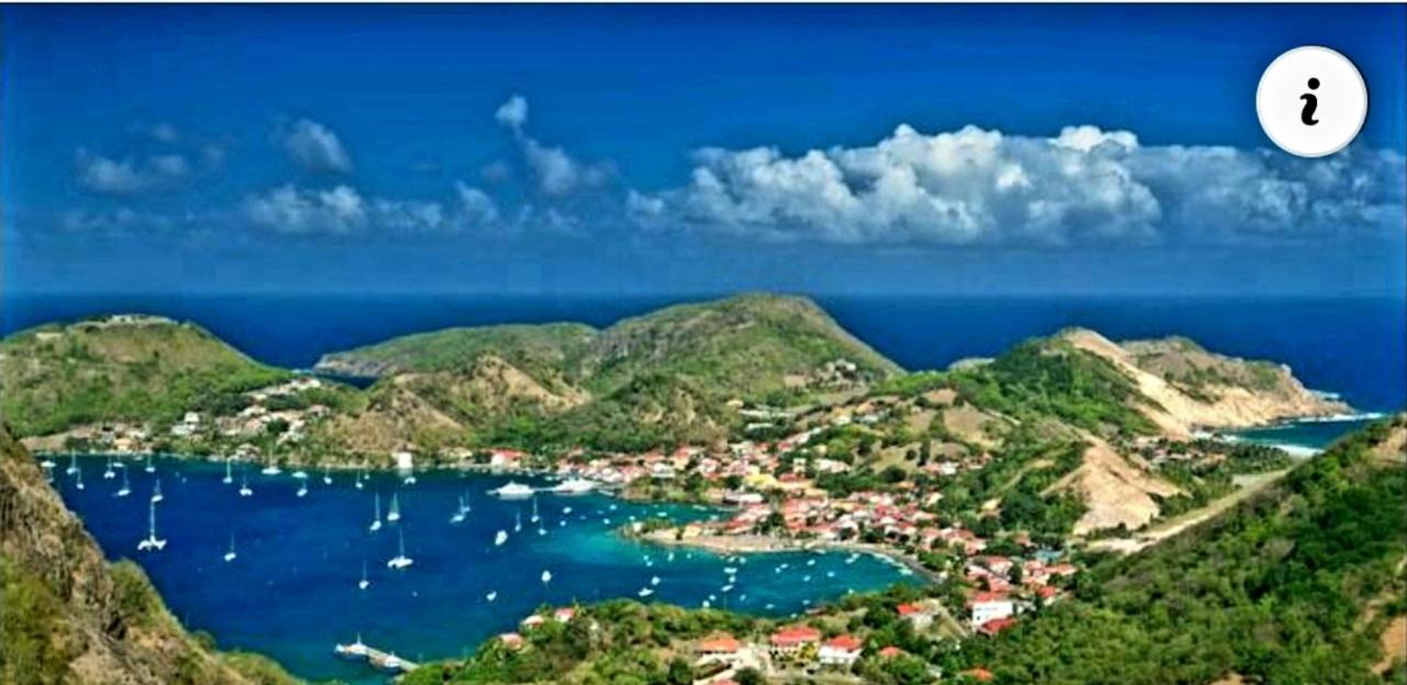 Studio 1 - Grande Anse - 4 Pers - Proche Bourg Terre-De-Haut Eksteriør bilde