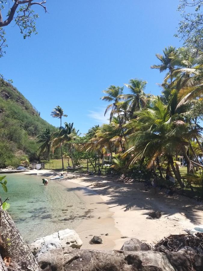 Studio 1 - Grande Anse - 4 Pers - Proche Bourg Terre-De-Haut Eksteriør bilde
